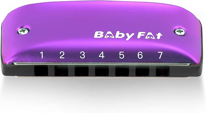 KONGSHNEG BabyFat 7 Hole Blues Mini Harmonica Set,Diatonic Harmonica with free lanyards,Gifts for Professional Players and Beginners,Easy-playing Musical Instrument(Key of Bb)