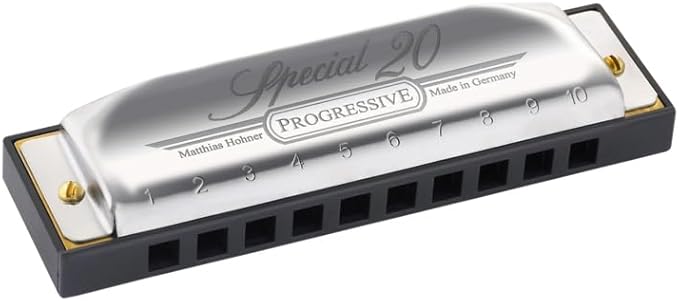 Hohner Special 20 Harmonica - Key of G Bundle with Carrying Case, Key Stickers, Online Manual, and Austin Bazaar Polishing Cloth