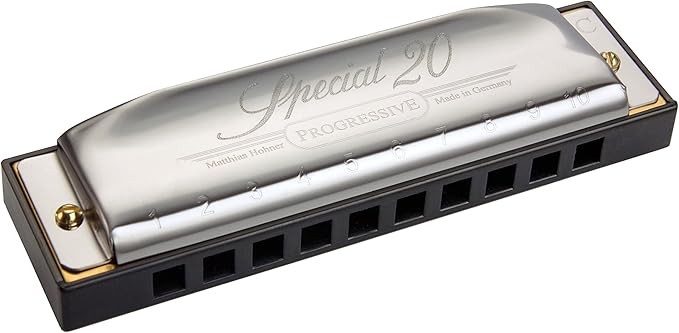 Hohner Special 20 Harmonica - Key of A Bundle with Case, Pouch, Online Manual, and Austin Bazaar Polishing Cloth
