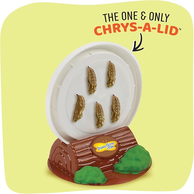 Insect Lore Butterfly Garden Kit – 10 Live Caterpillars, Habitat, STEM Journal, 2 Chrys-a-lid Holding Logs & Feeder – Grow & Release Painted Lady Butterflies – Educational Science Toy