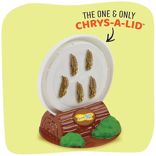 Insect Lore Cup of Caterpillars - 5 Live Painted Lady Caterpillars with Food - Refill for Butterfly Garden Kit - Stickers & Chrys-A-Lid Holding Log Included - STEM Learning Activity