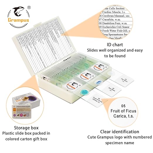30 Prepared Microscope Slides with Specimens for Kids Students - Plants, for Biological Science Lab, Children's Science Education, Homeschooling Use