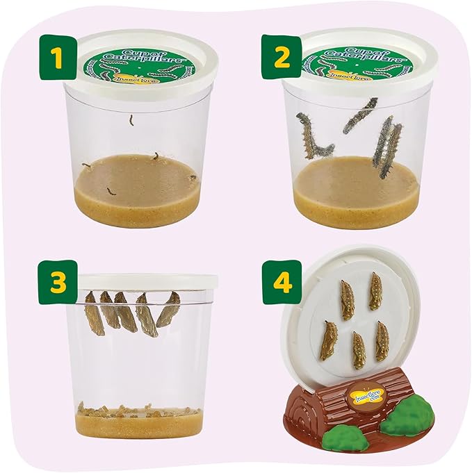 Insect Lore Cup Caterpillars - 5 Live Painted Lady Caterpillars with Food - Includes Figurines - Refill Kit for Butterfly Garden Habitat - STEM Science Activity for Kids and Classrooms
