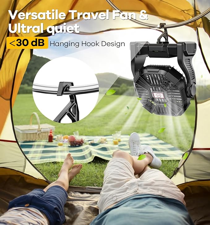 30000mAh Portable Battery Powered Camping Fan - with LED Light, Quiet Battery Operated, Camping Gear for Travel, Tent, Beach, Car or Hurricane Power Outages, Black