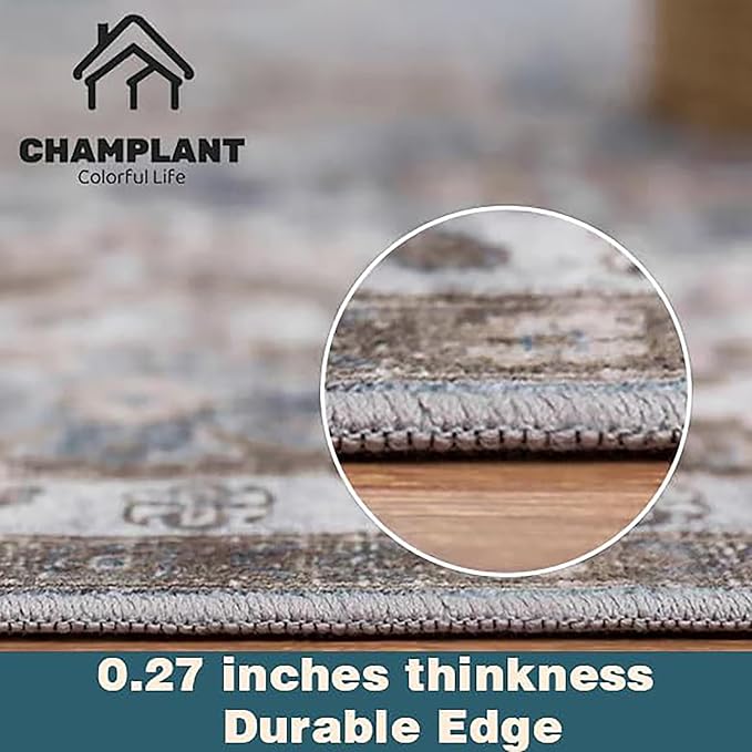 3'x5' Light Cyan and Light red Vintage Washable Thin Area Rug Traditional Floor Cover Foldable Indoor Distressed Non Slip Carpet Floral Print Mat Bedroom Living Room Bathroom