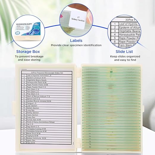 30 Microscope Slides with Specimens, Prepared Microscope Slides Set with Plants Animals Insects for Adults Students Homeschool Basic Biological Science Education