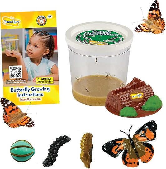 Insect Lore Cup Caterpillars - 5 Live Painted Lady Caterpillars with Food - Includes Figurines - Refill Kit for Butterfly Garden Habitat - STEM Science Activity for Kids and Classrooms