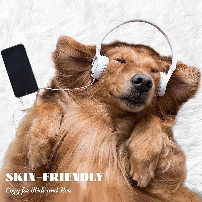 8x10 Area Rug for Living Room: Fluffy Shag Soft Washable Rugs Large Fuzzy Plush Indoor Carpet for Bedroom Nursery Playroom Kids Girls Boys Room (White, 8'x10')